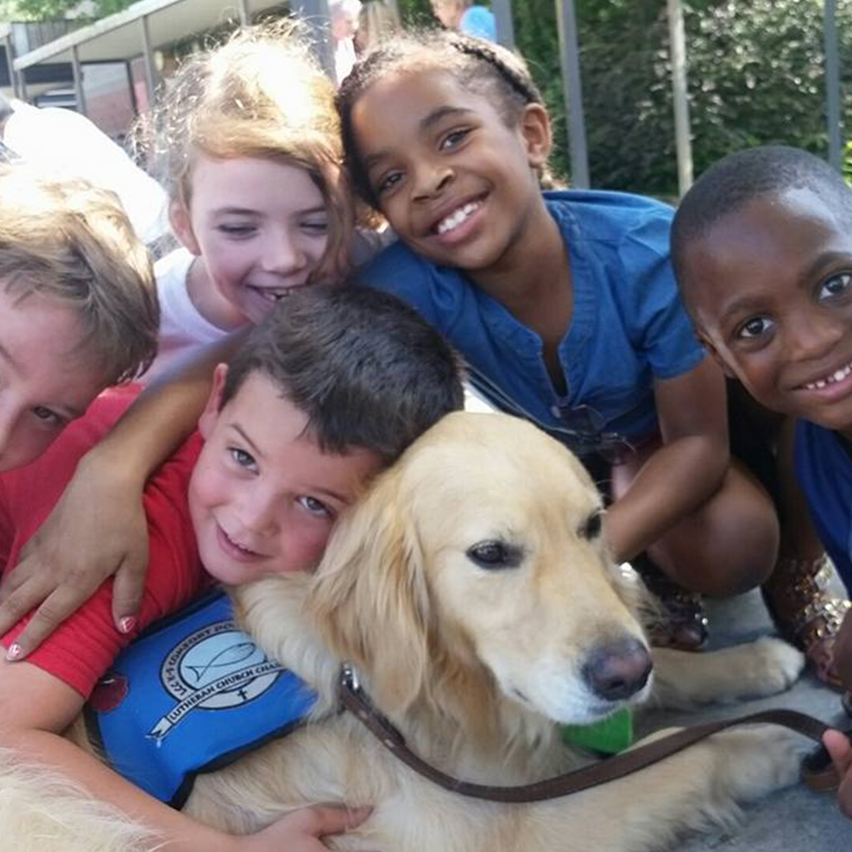 Compassion, Evangelism, and the Comfort Dog Ministry