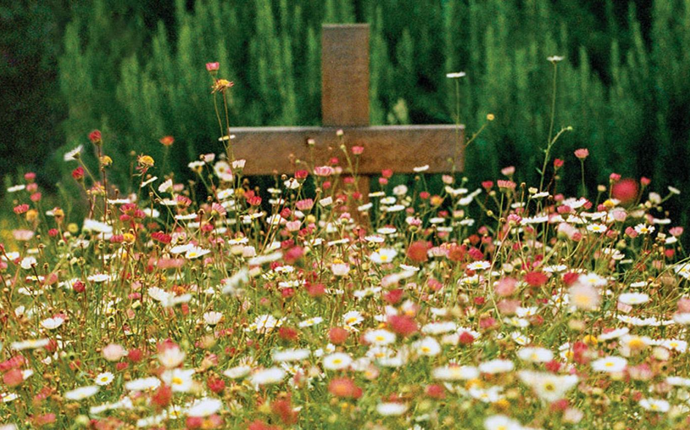 ICYMI: Beth Hoeltke on Natural Burial in Christian Century