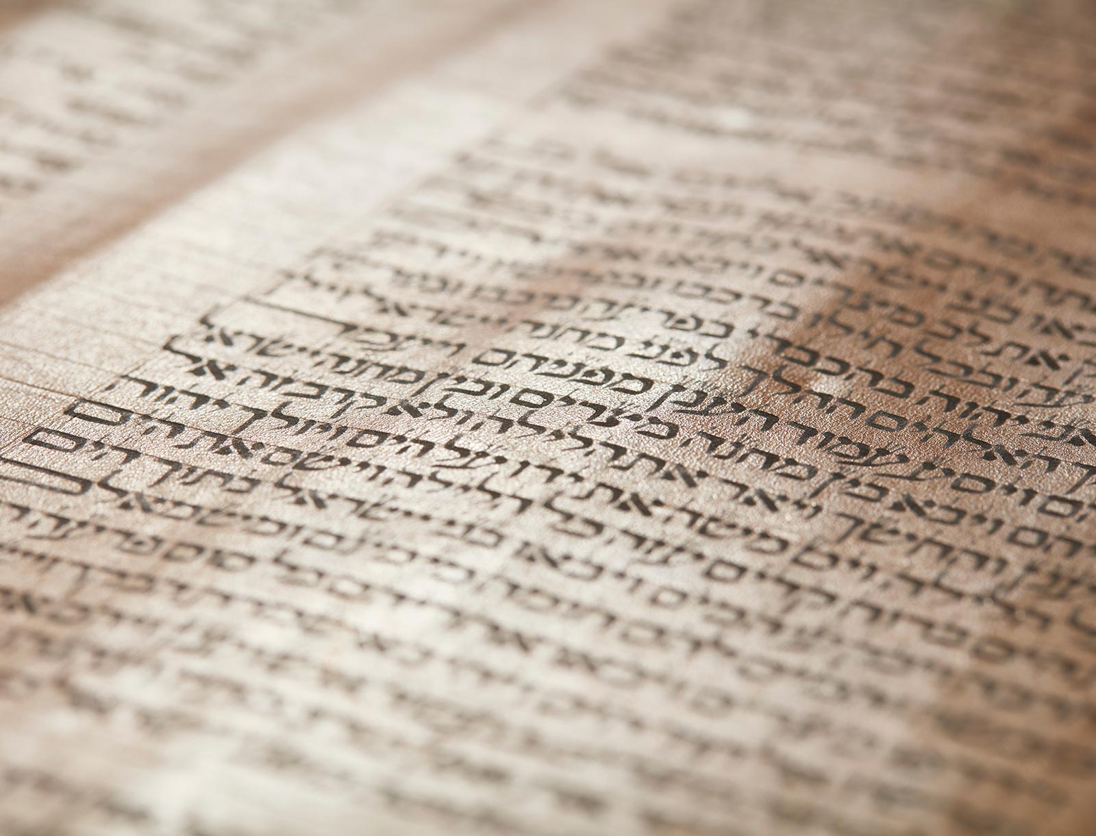 Two Future Trends in Biblical Scholarship