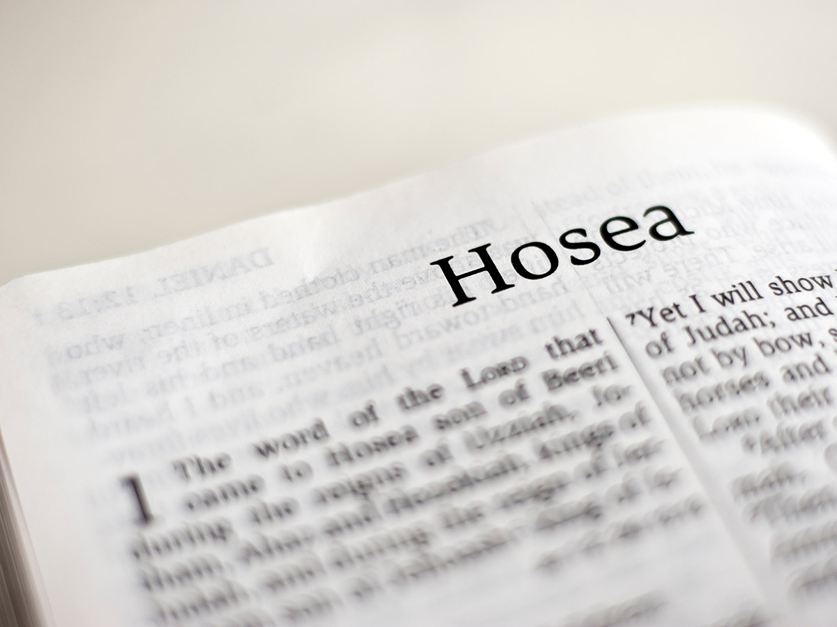 Hosea’s Shocking Language & The Shock of the Gospel