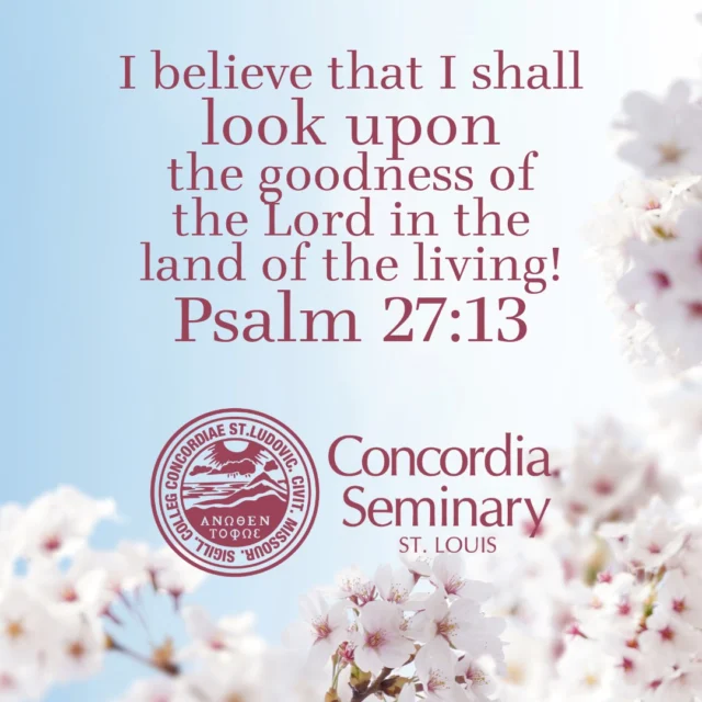 Sixth Sunday after Pentecost 
Gen. 18:1–10a (10b–14); Ps. 27:(1–6) 7–14; Col. 1:21–29; Luke 10:38–42